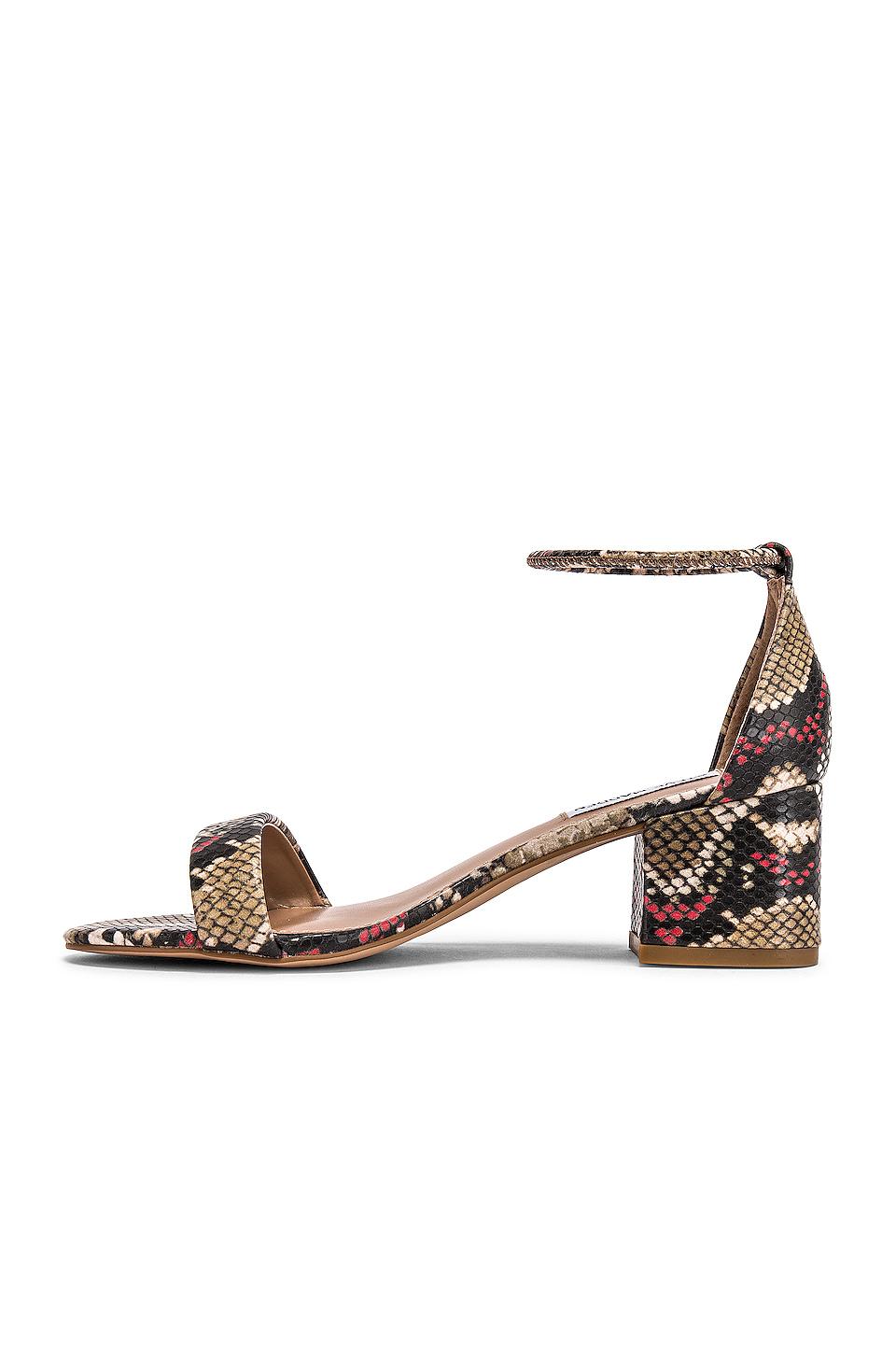 steve madden ibbie sandal
