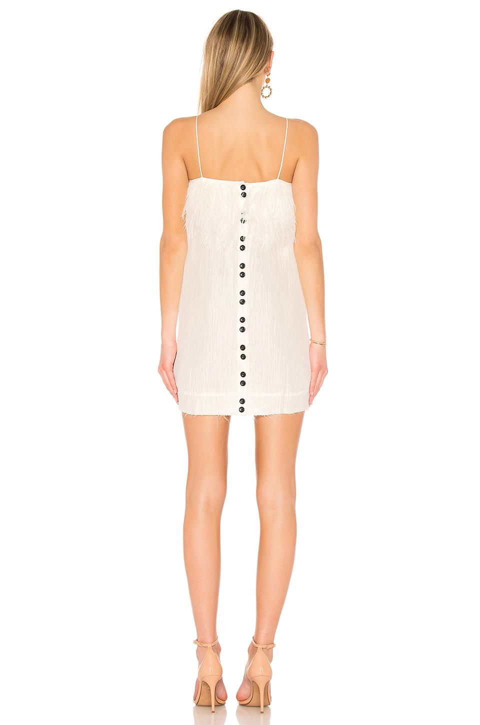 nice occasion dresses