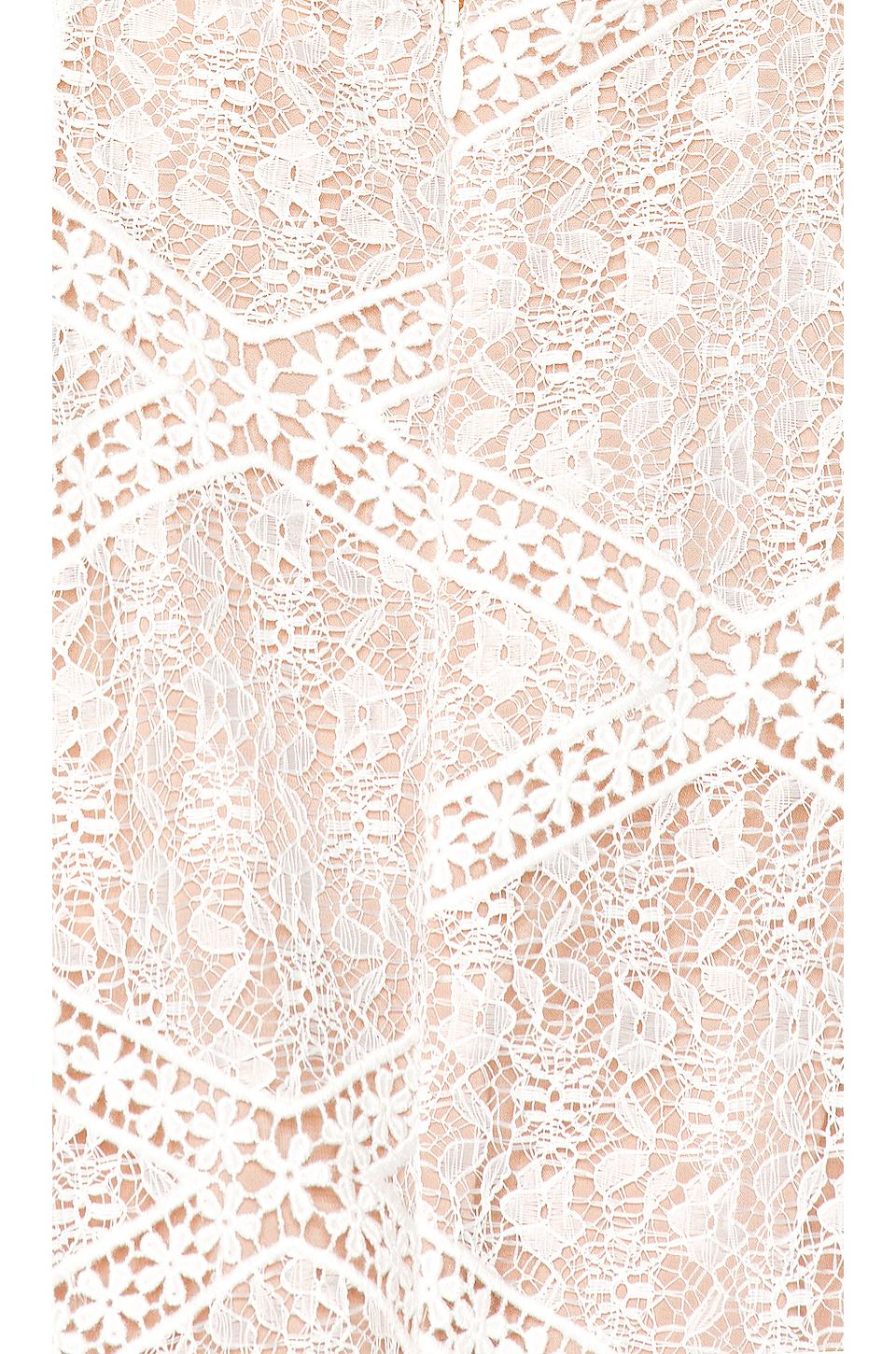 sequoia lace mini dress