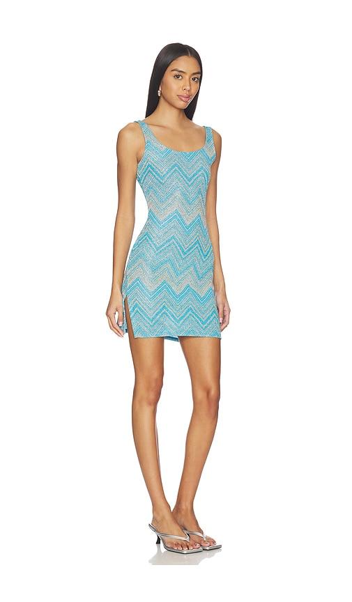 mesh zebra dress ZEBRA MESH DRESS  AKA ROUGE