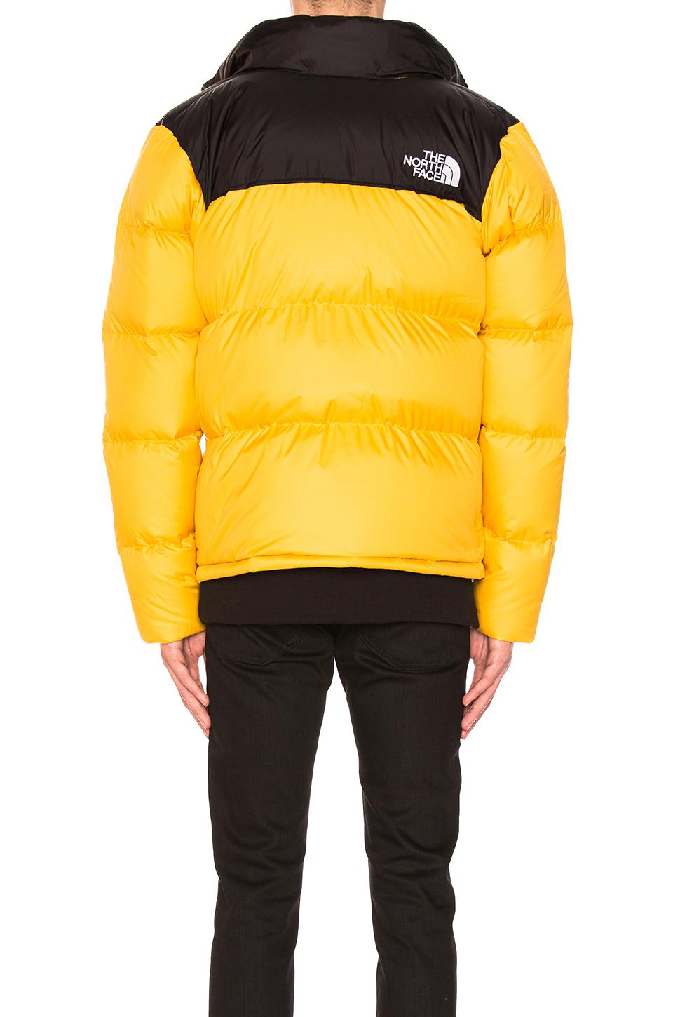 yellow and black north face