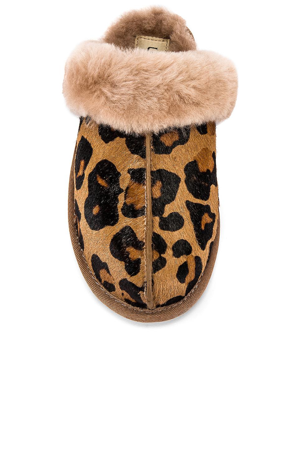 ugg scuffette slippers leopard