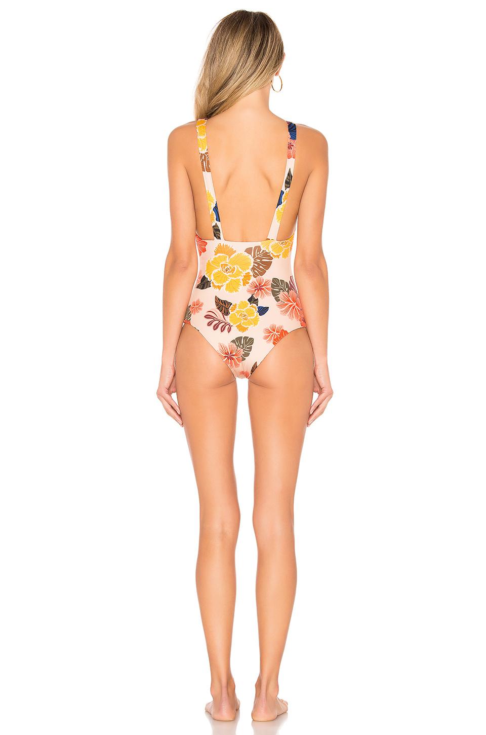 acacia indies one piece