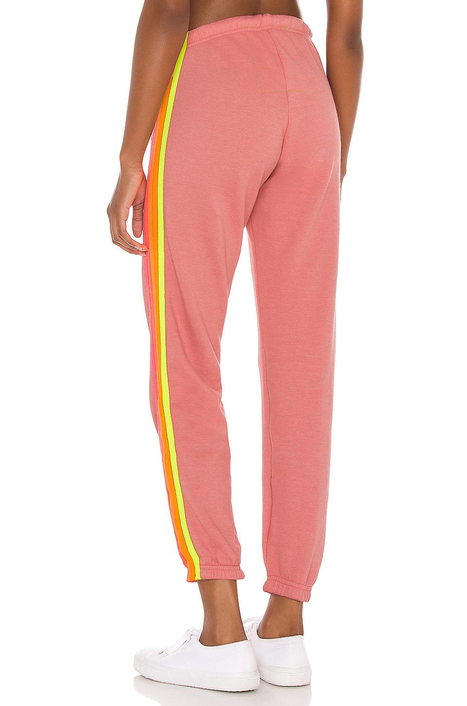 5 Stripe Sweatpant in Rose/Neon (Pink 