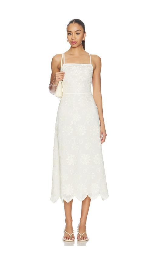 Steve Madden Casual and day dresses for Women | Online Sale up to 40% off |  Lyst