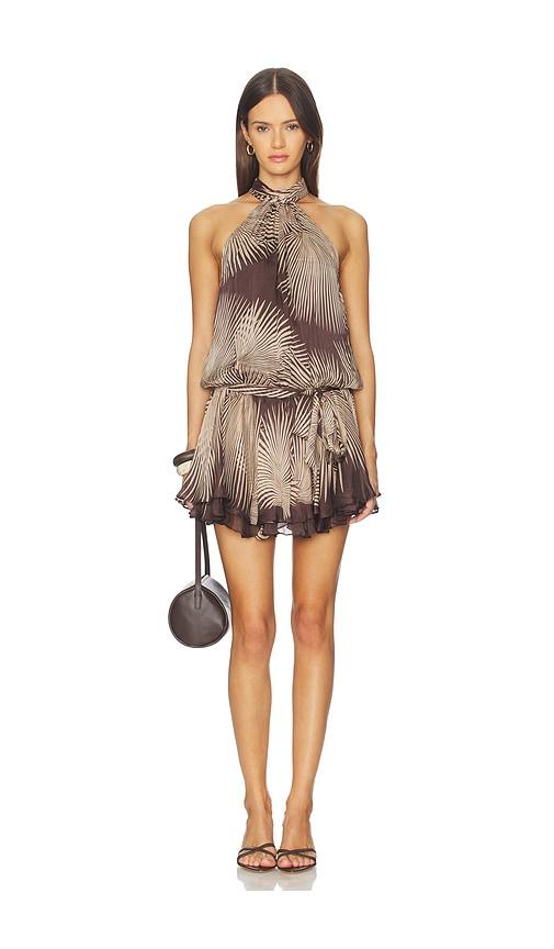 knee length dresses for ladies Rococo and Sand Mini Dress Spring