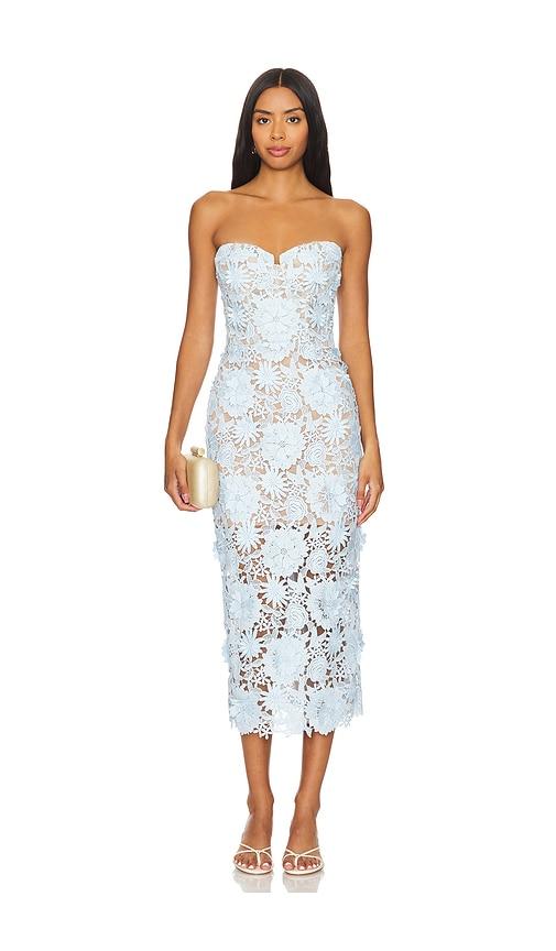 Bronx and banco revolve new arrivals