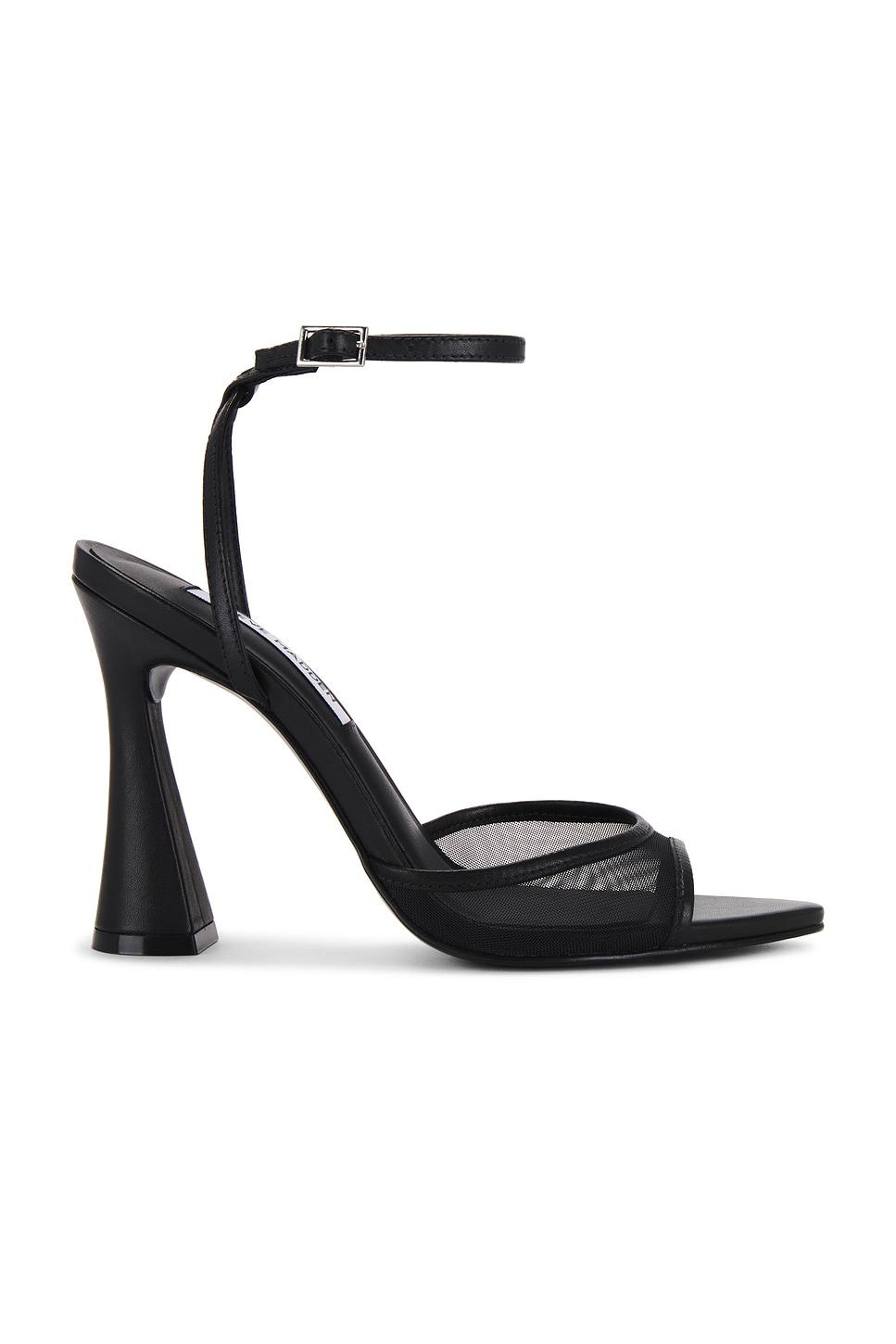 Steve Madden レディース ブラック Beki ヒール ヒール