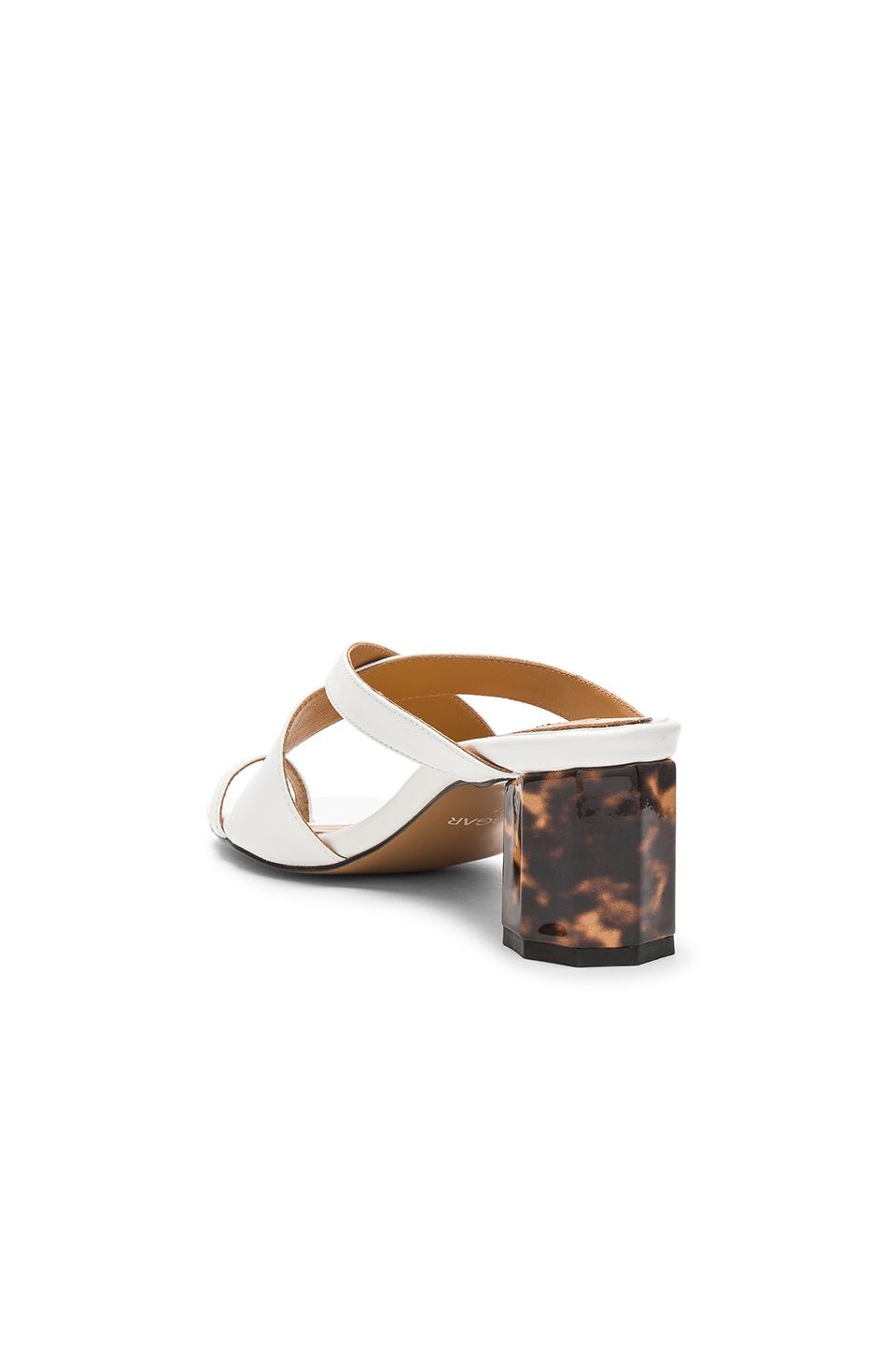 tortoise heel