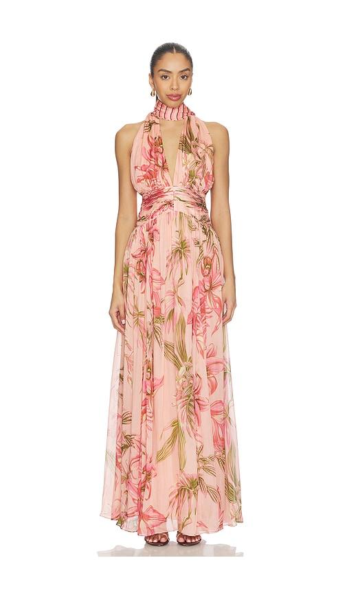 chinese dress ladies Rococo Sand Avo Maxi Dress