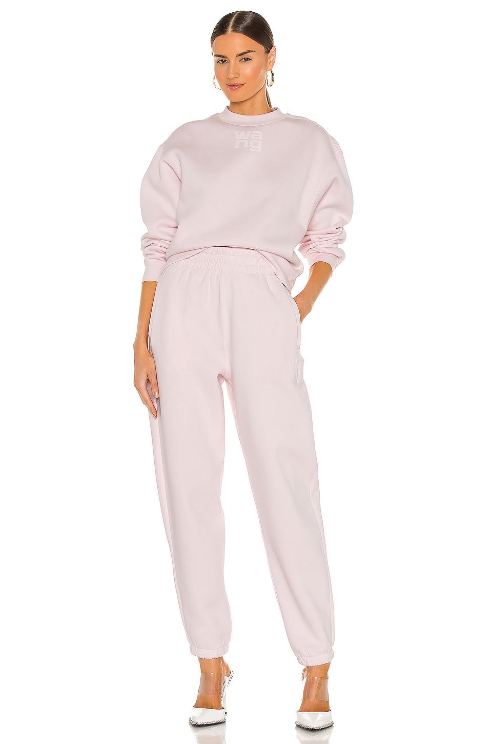 alexander wang foundation terry sweatpant