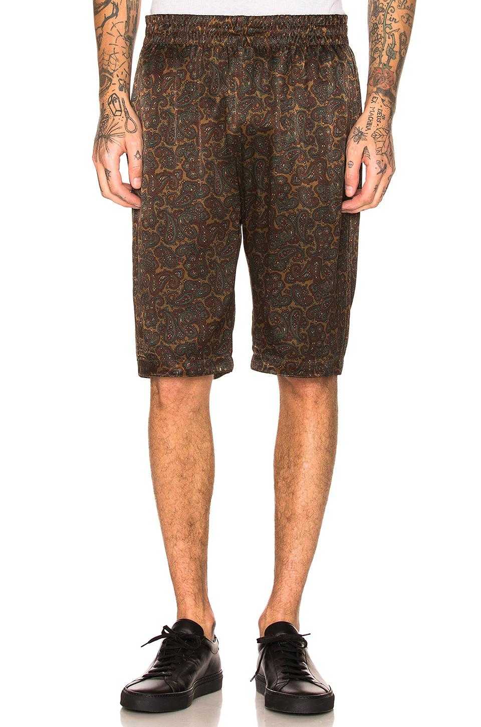 stussy paisley shorts
