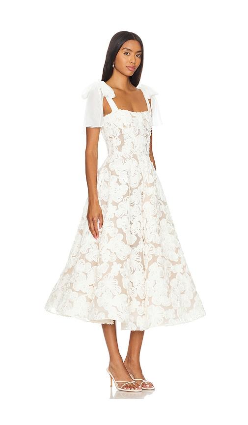 asos leopard midi dress ASTR the Label | Eleni Leopard Print Midi Dress in Leopard Print