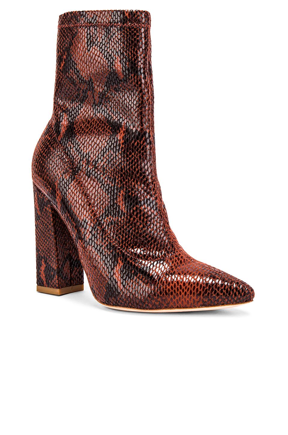 raye tanna bootie