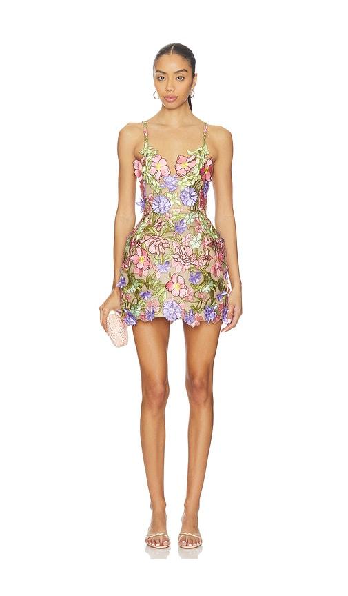 Bronx and Banco Mini and short dresses for Women | Online Sale up to 80%  off | Lyst
