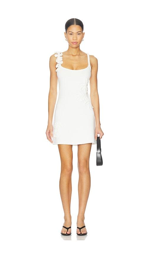 amur allegra floral knit midi dress Allegra Floral Knit Midi Dress