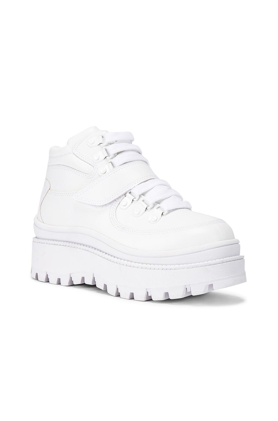 intersport adidas predator