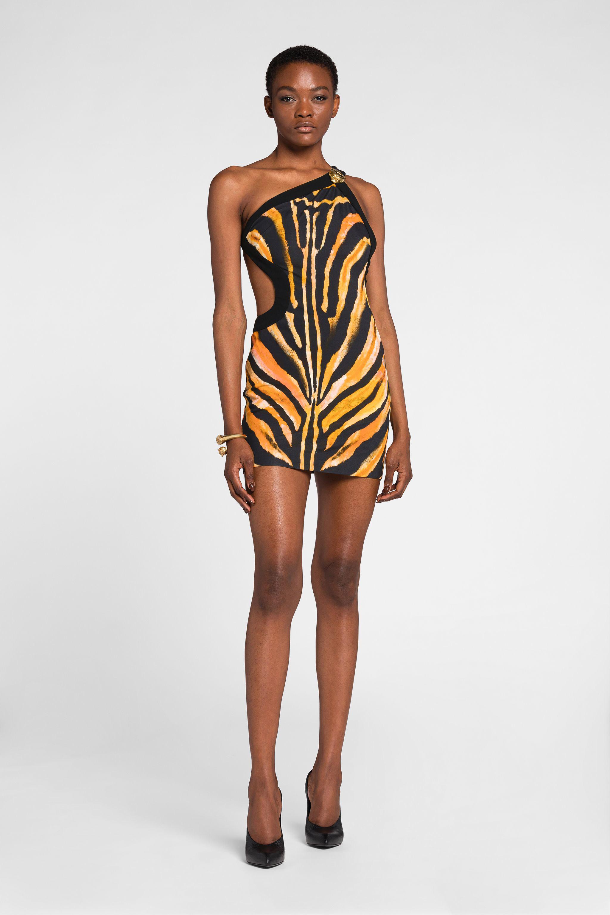 Roberto Cavalli Zebra-Print One-Shoulder Mini Dress | Lyst UK