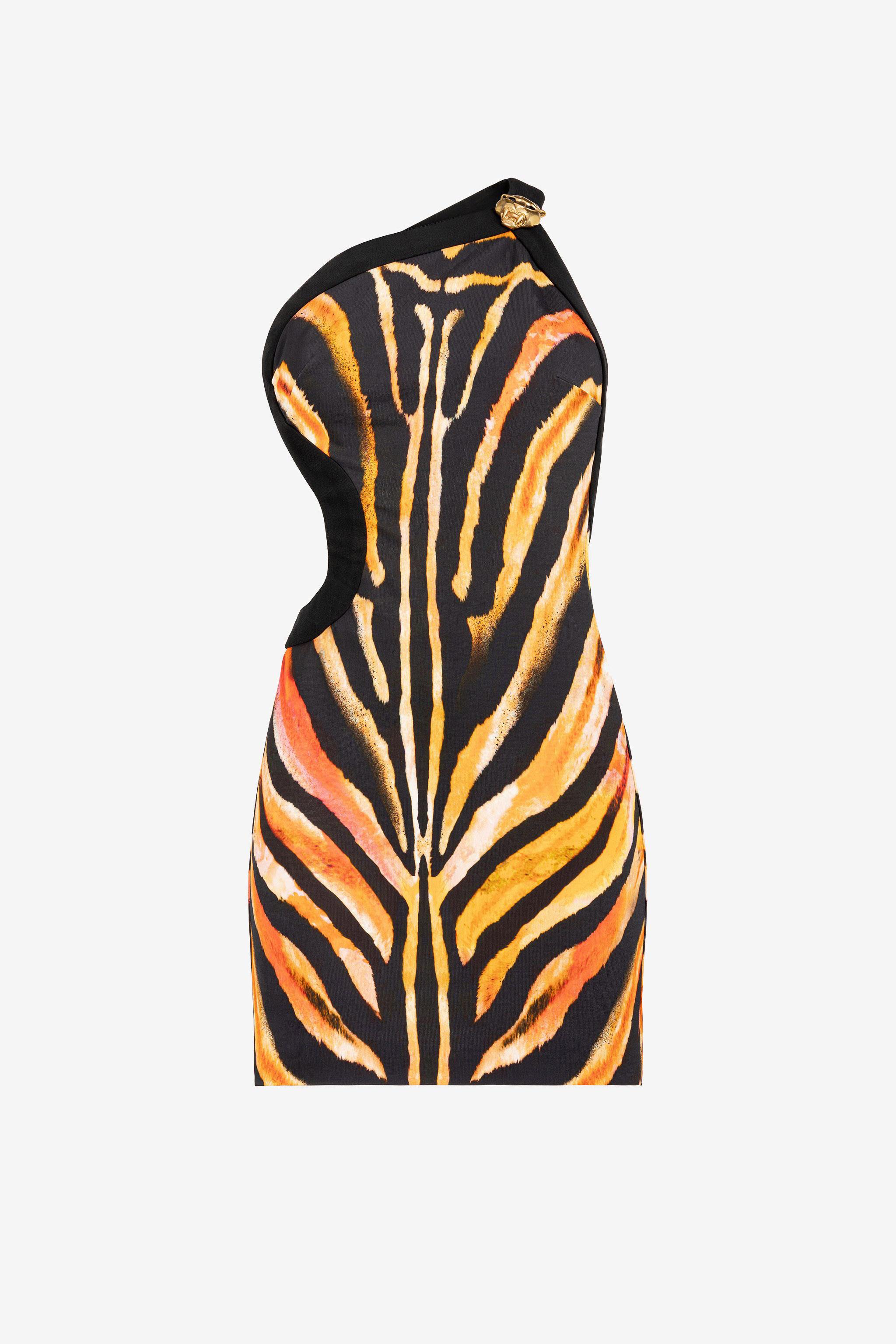 Roberto Cavalli Zebra-Print One-Shoulder Mini Dress | Lyst UK