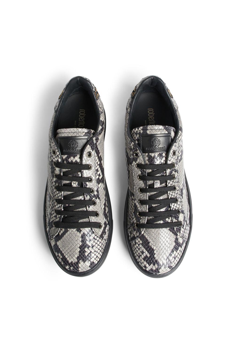 men's roberto cavalli sneakers