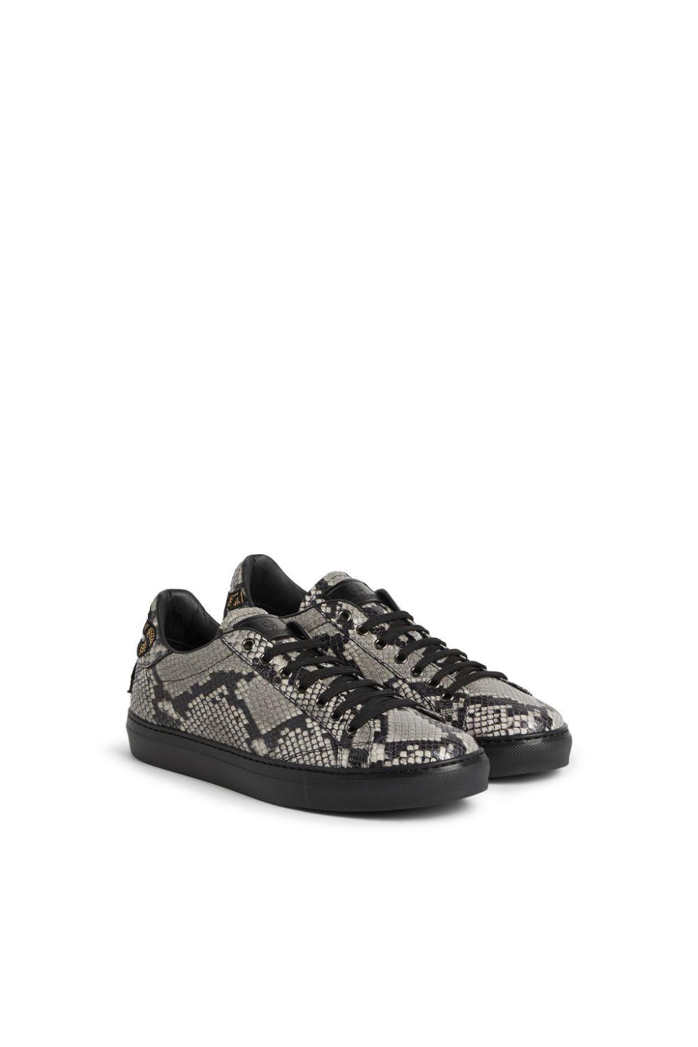 men's roberto cavalli sneakers
