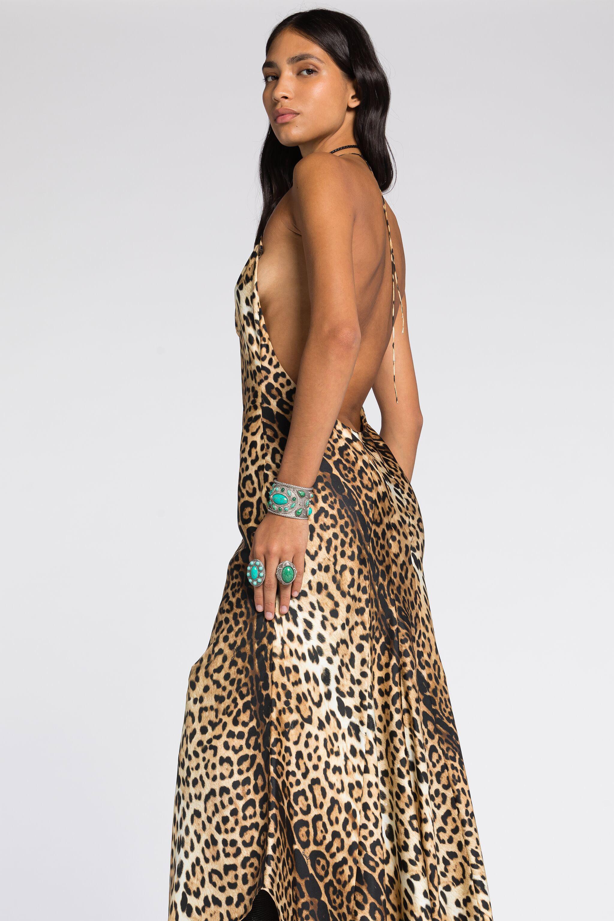 Roberto Cavalli One Shoulder Dresses for Women | Lyst Roberto Cavalli One Shoulder Dresses for Women | Lyst