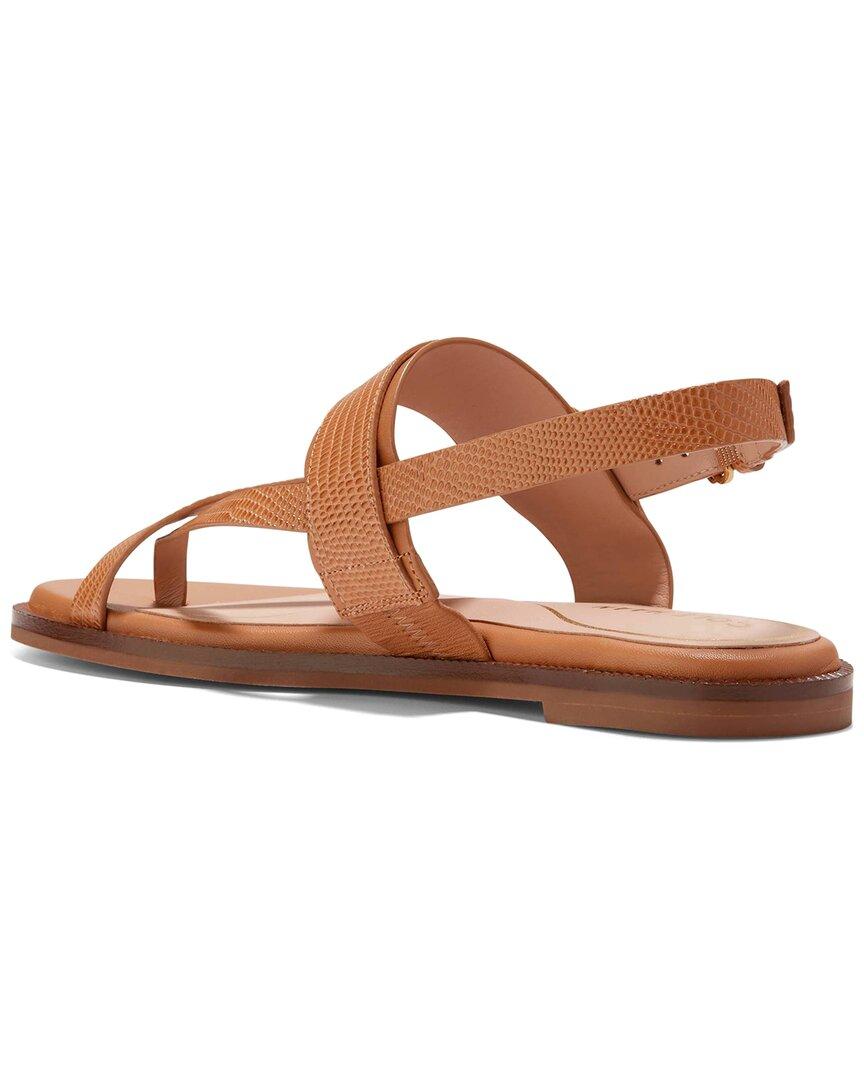 Cole Haan Anica Lux Buckle Leather Sandal in Brown Lyst