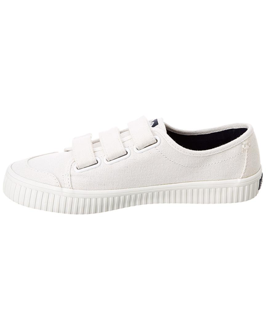 sperry crest creeper velcro