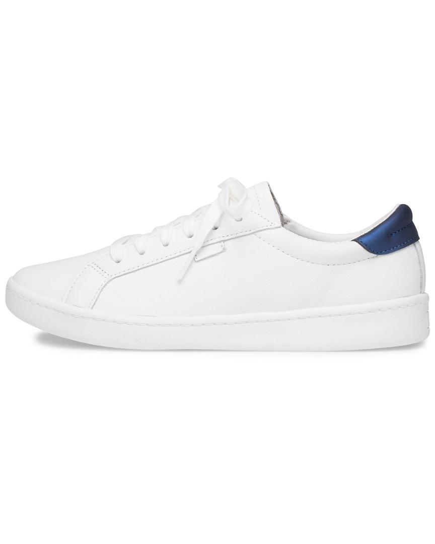 keds ace sneaker