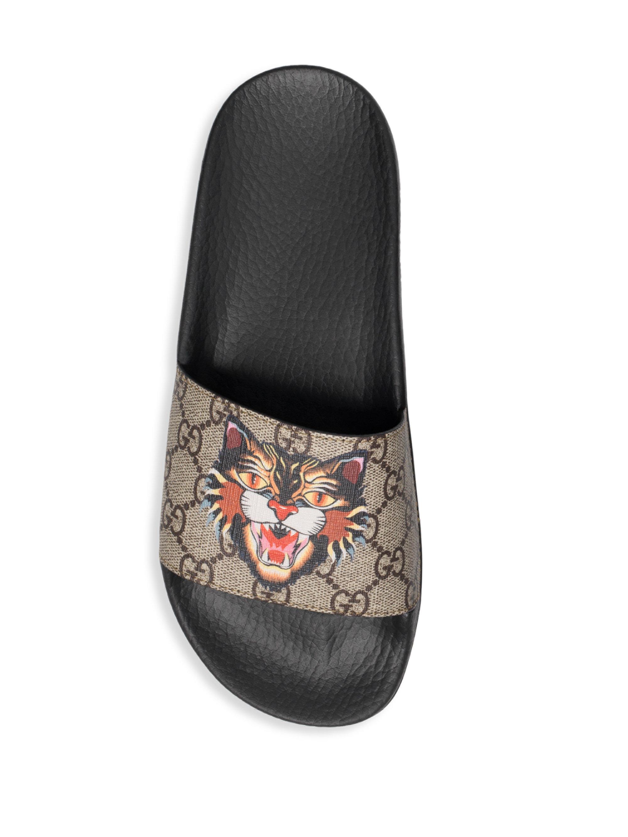 gucci slides angry cat