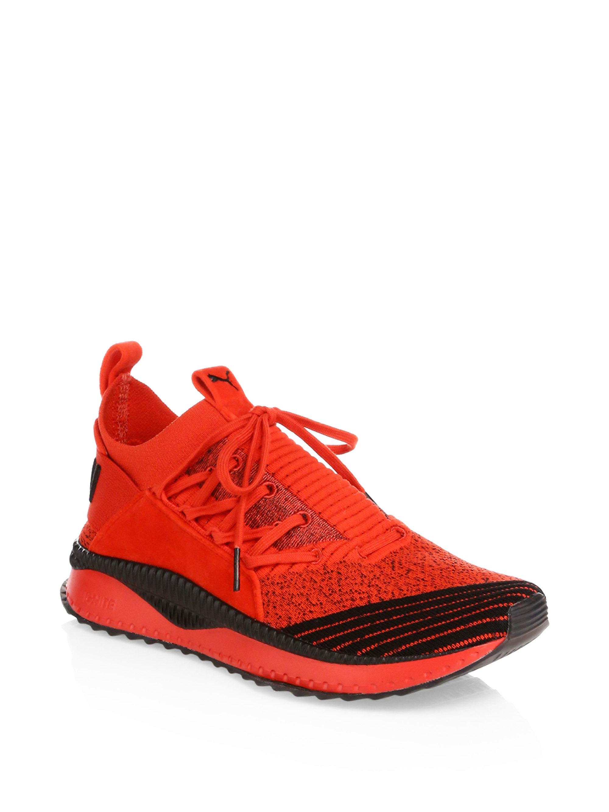 fubu trainers