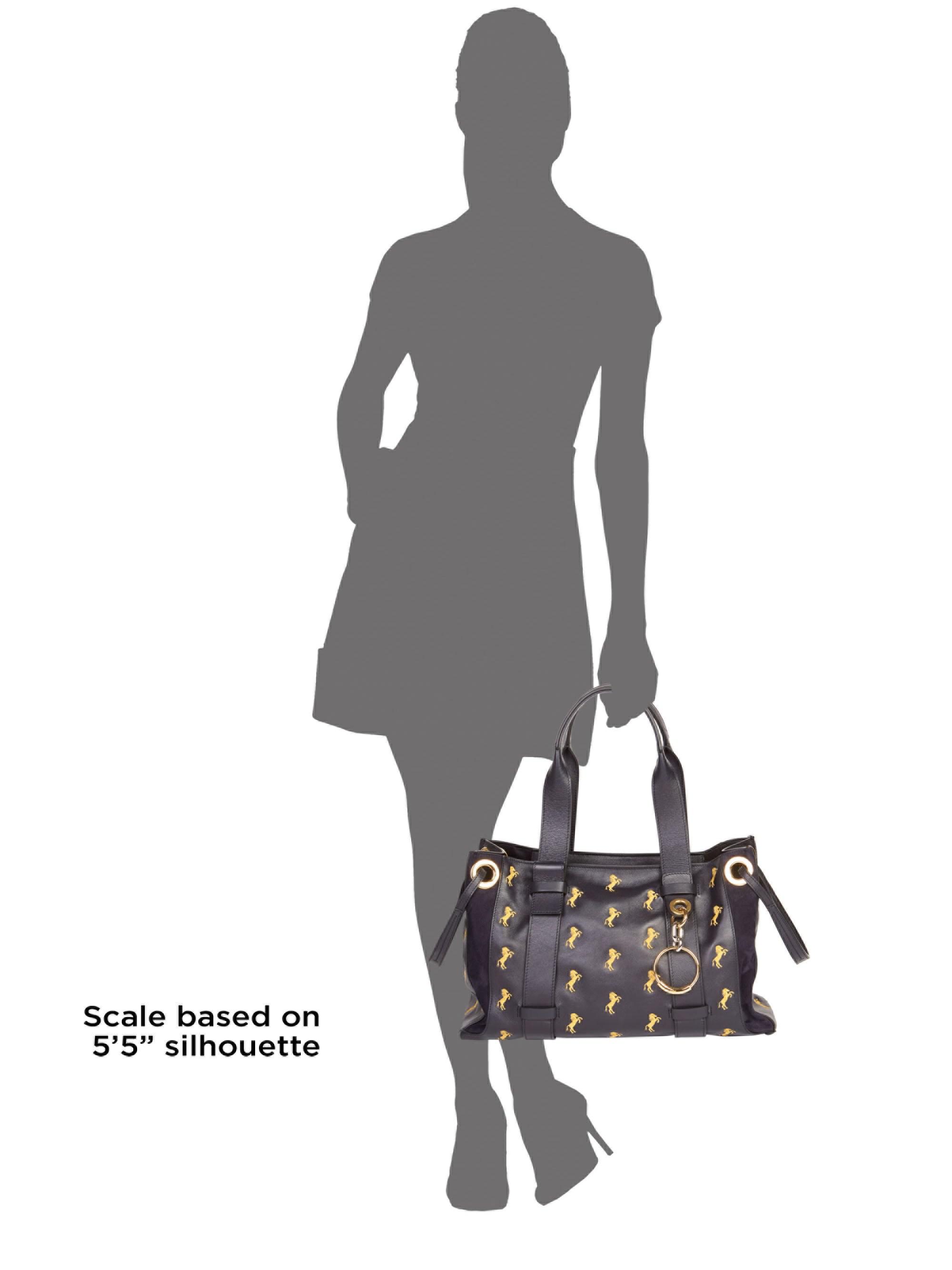 chloe tao bag