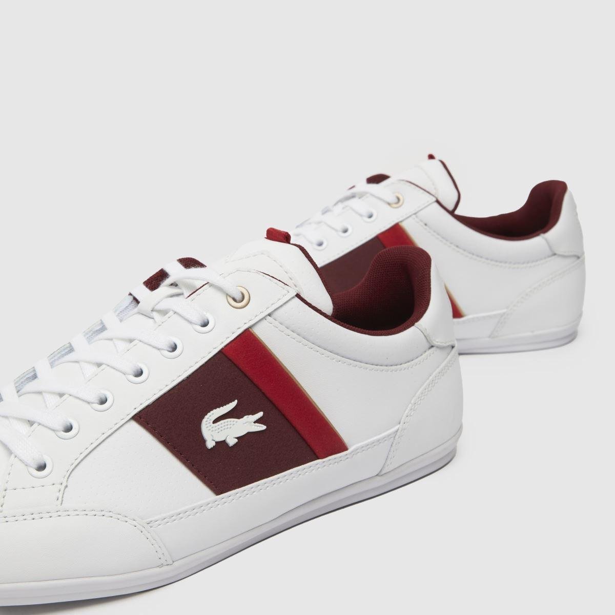 Burgundy Mens Lacoste Powercourt Trainers Lacoste Chaymon Trainers