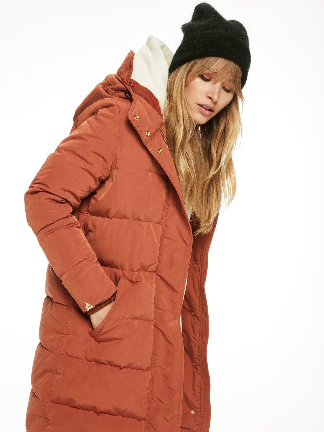 scotch and soda jacket