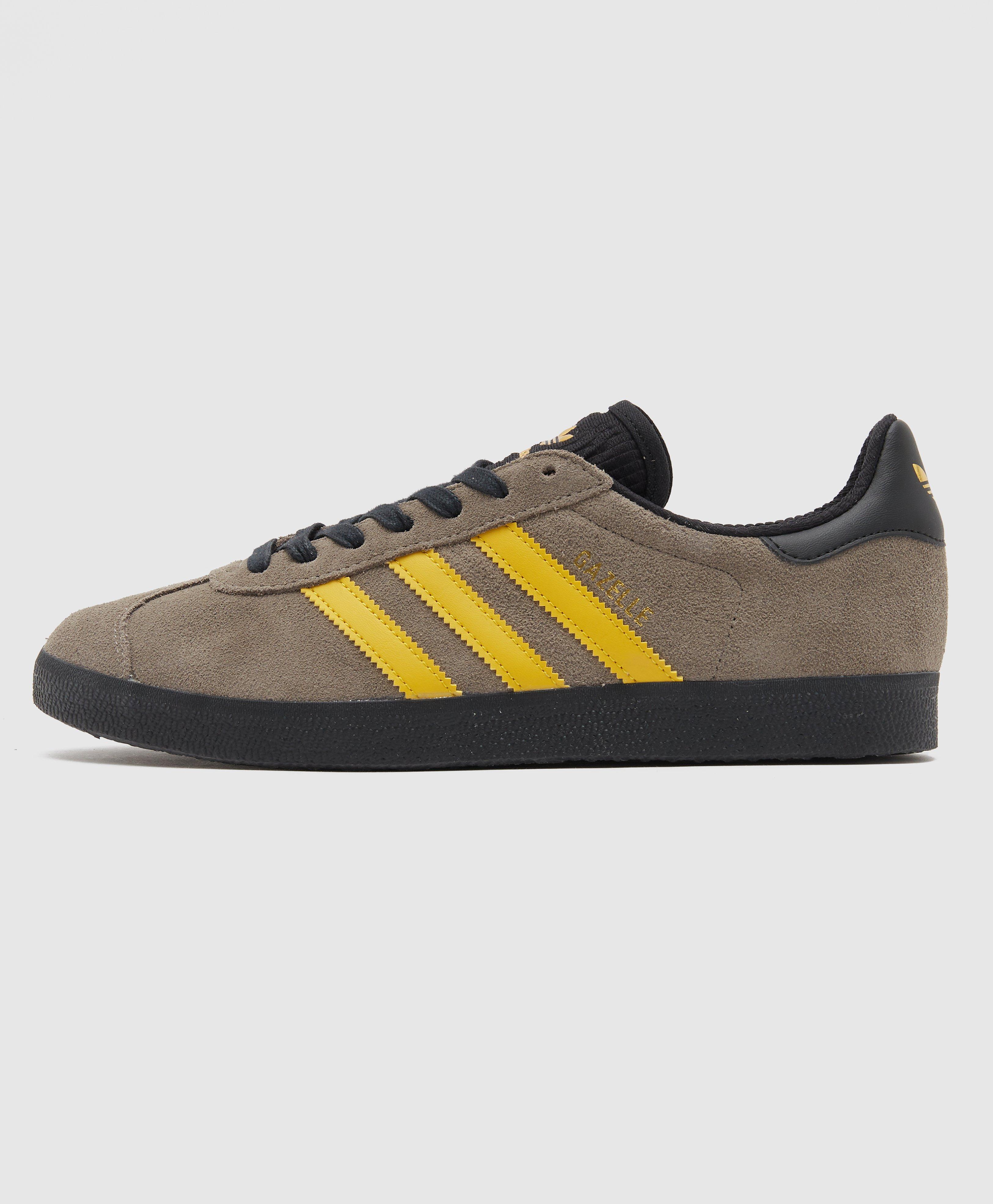 grey gazelles