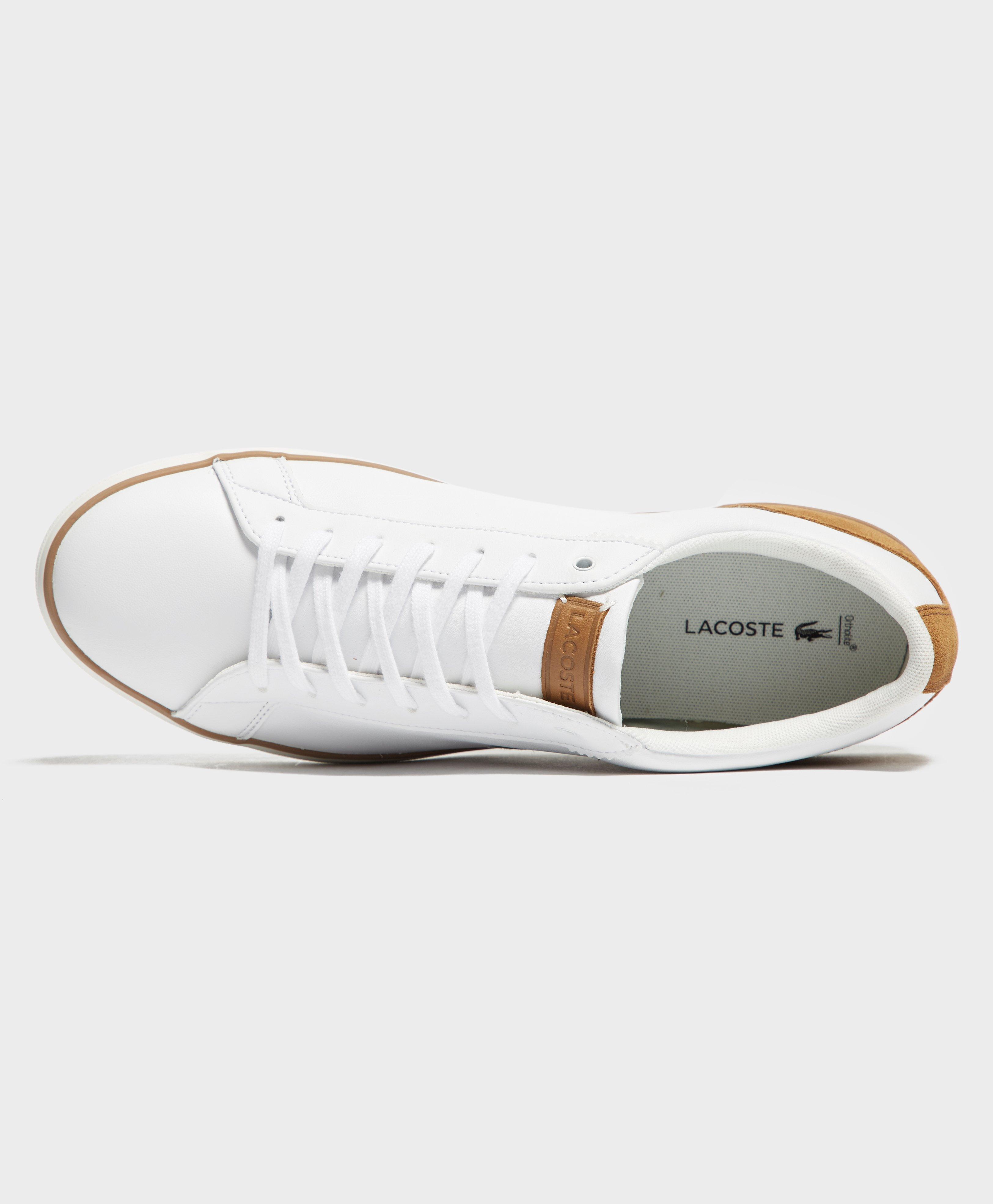 lacoste lerond 118