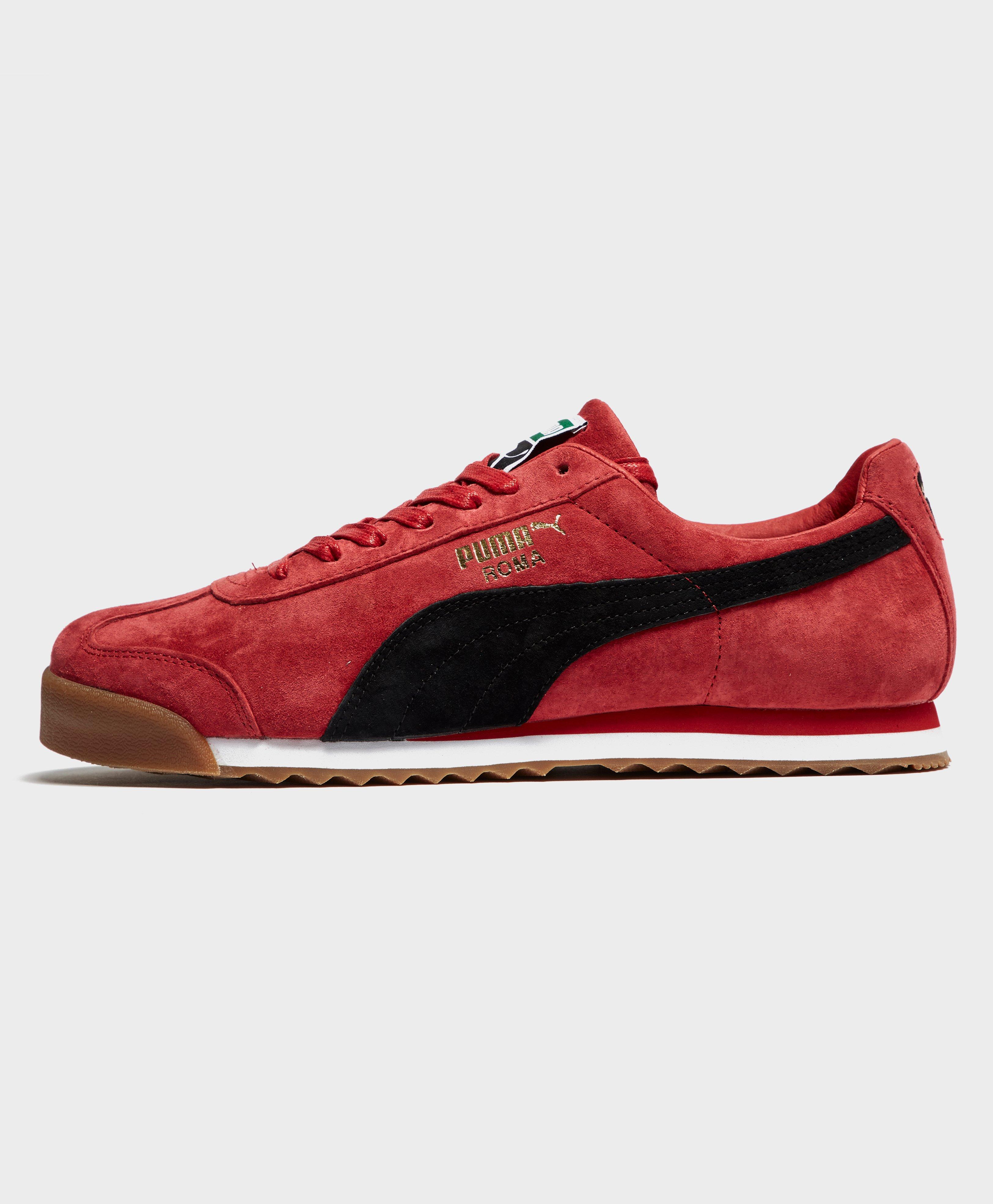 puma roma red