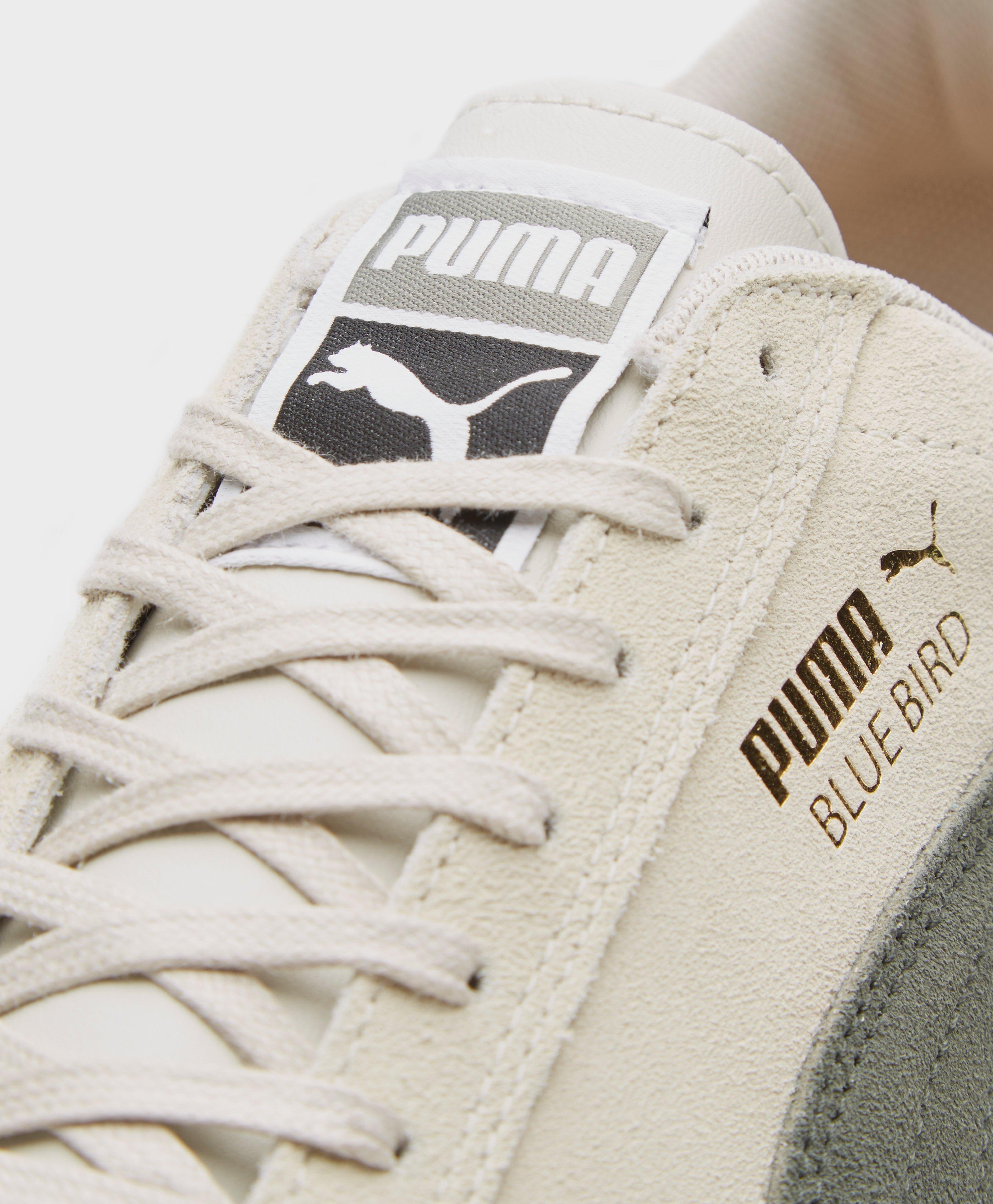 new balance u420 bluebird