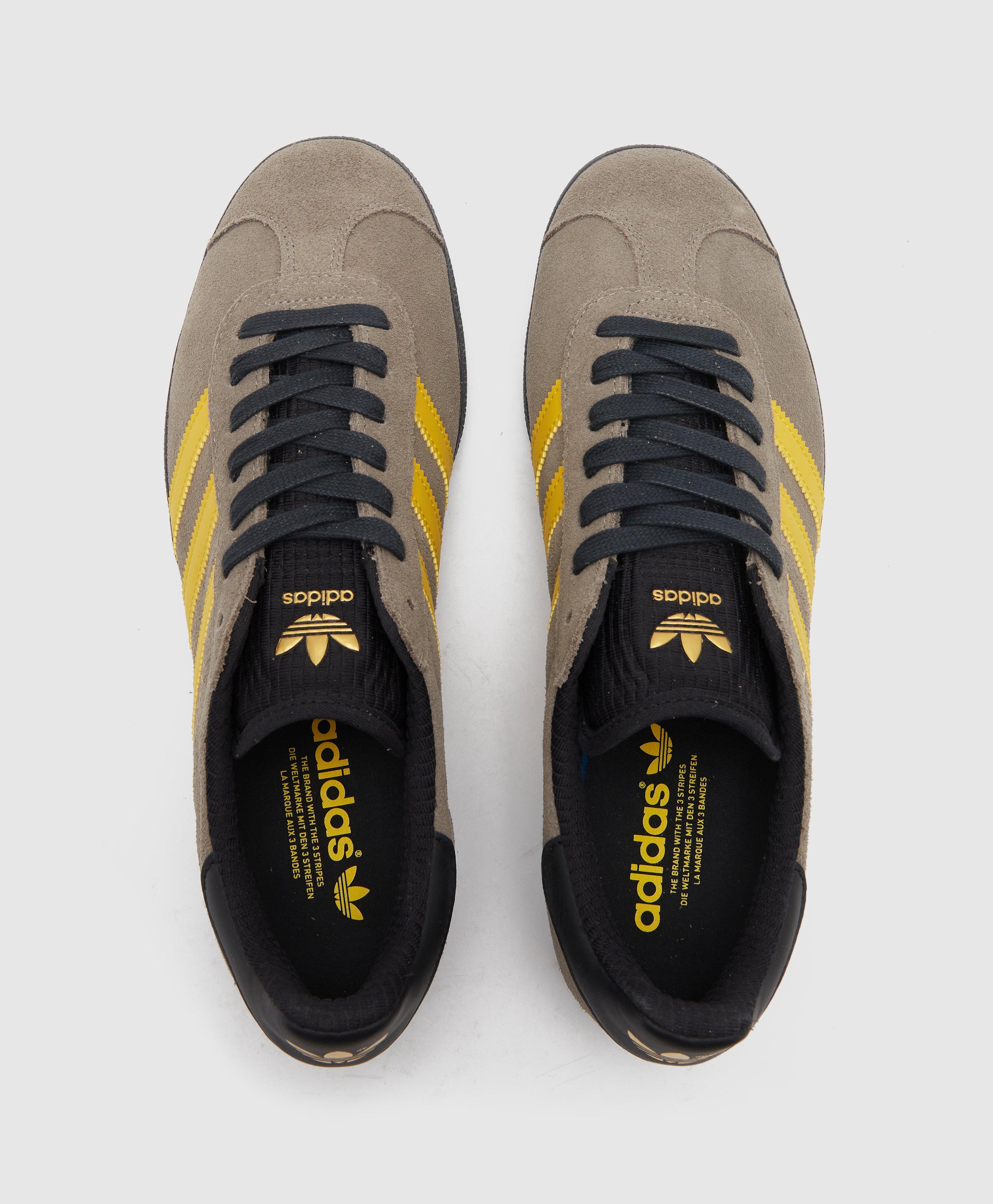 grey gazelles