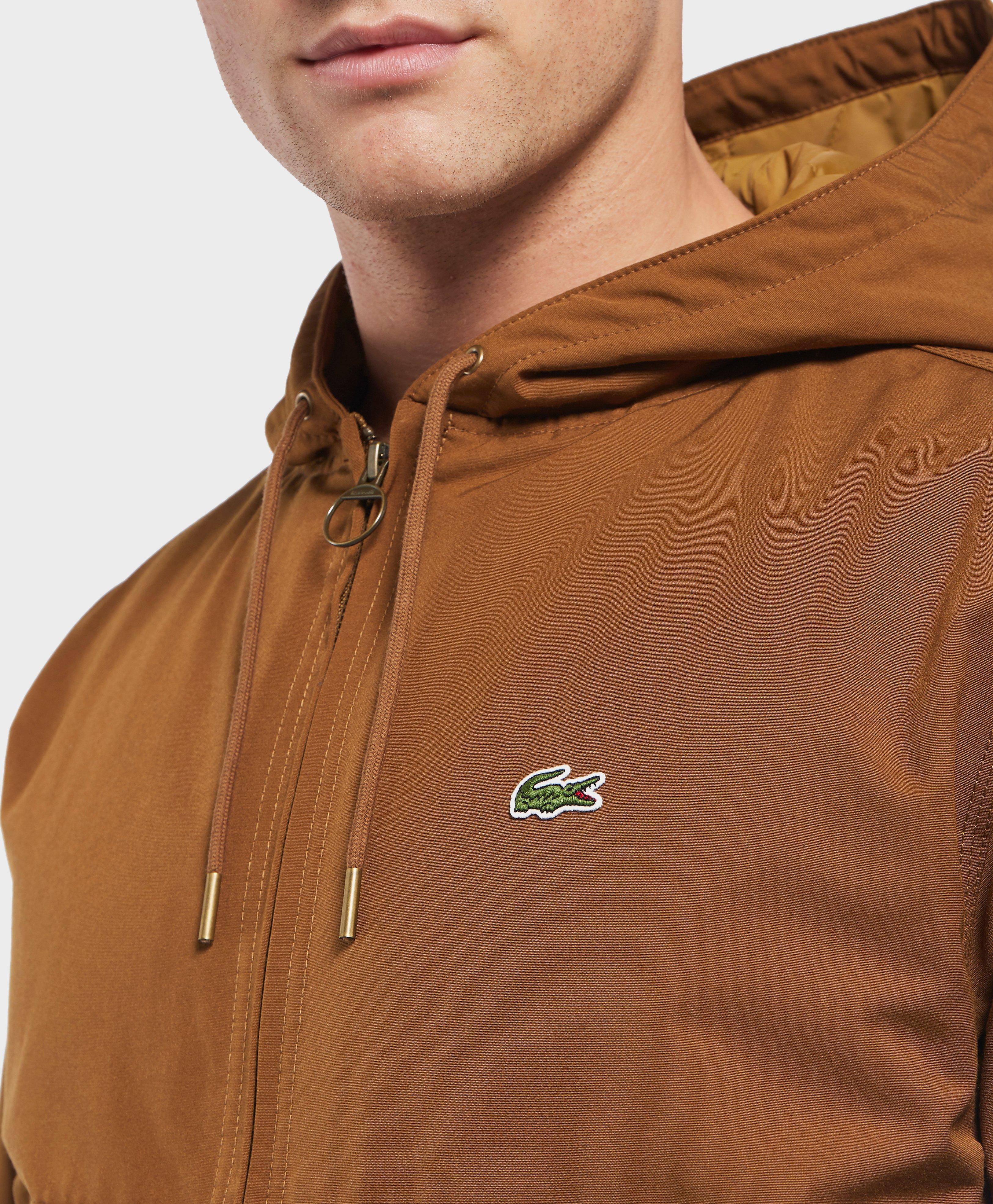 lacoste hooded bomber jacket
