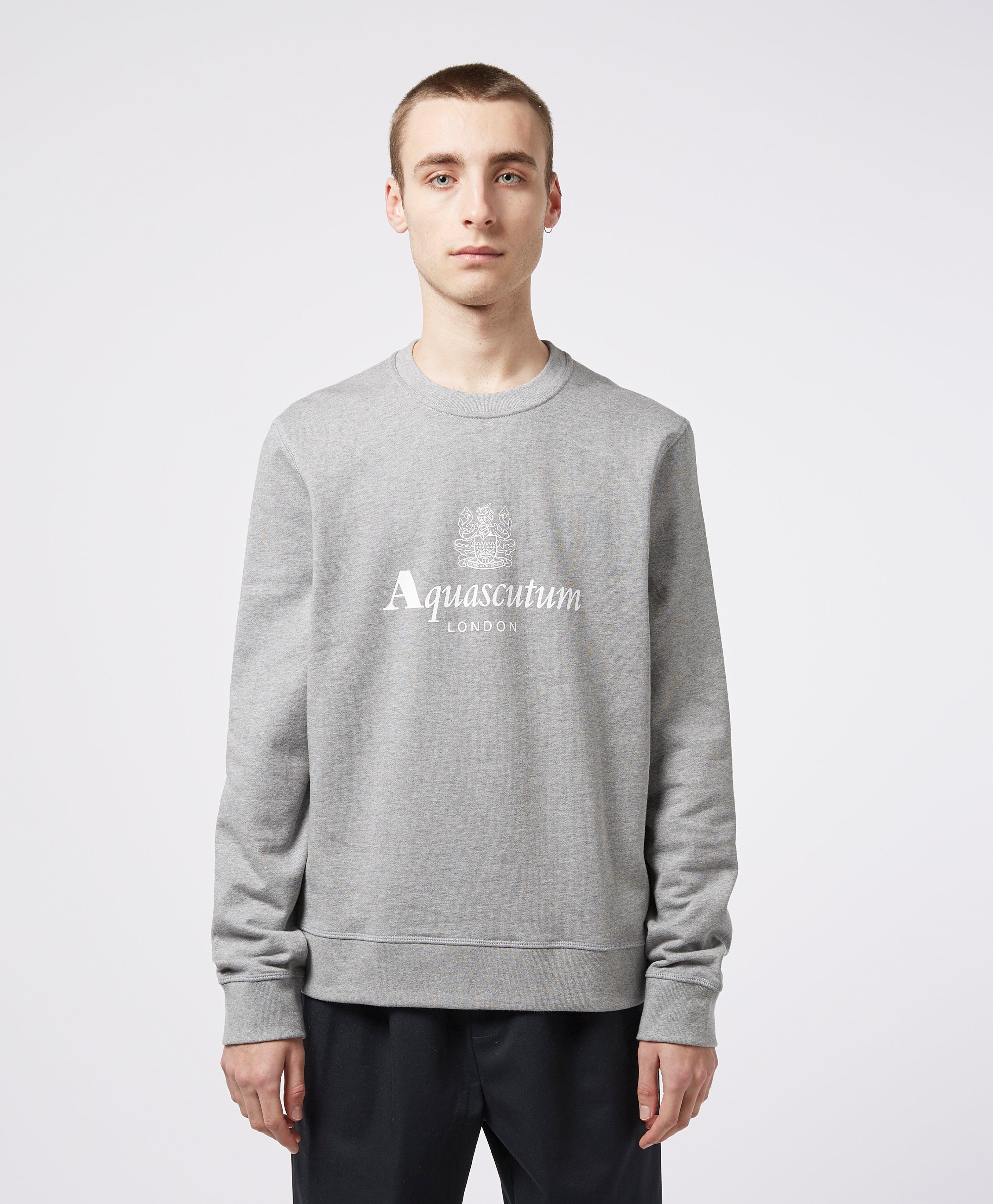 Aquascutum Hoodie Grey Discount Sale, UP TO 55% OFF | www.fundaciocima.org