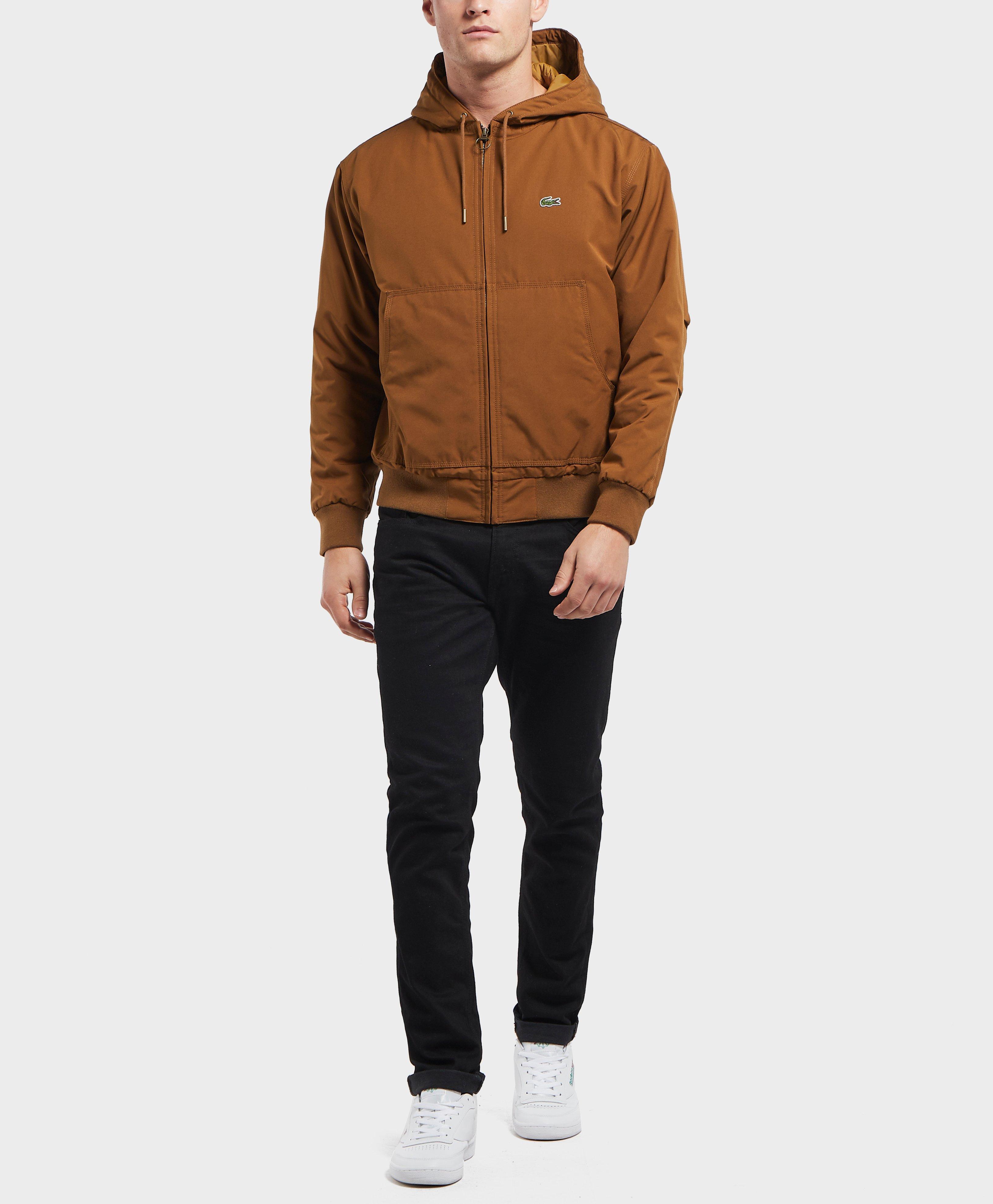 lacoste hooded bomber jacket