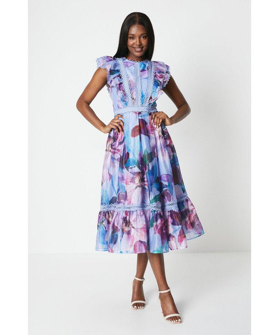 Coast organza dress hot sale
