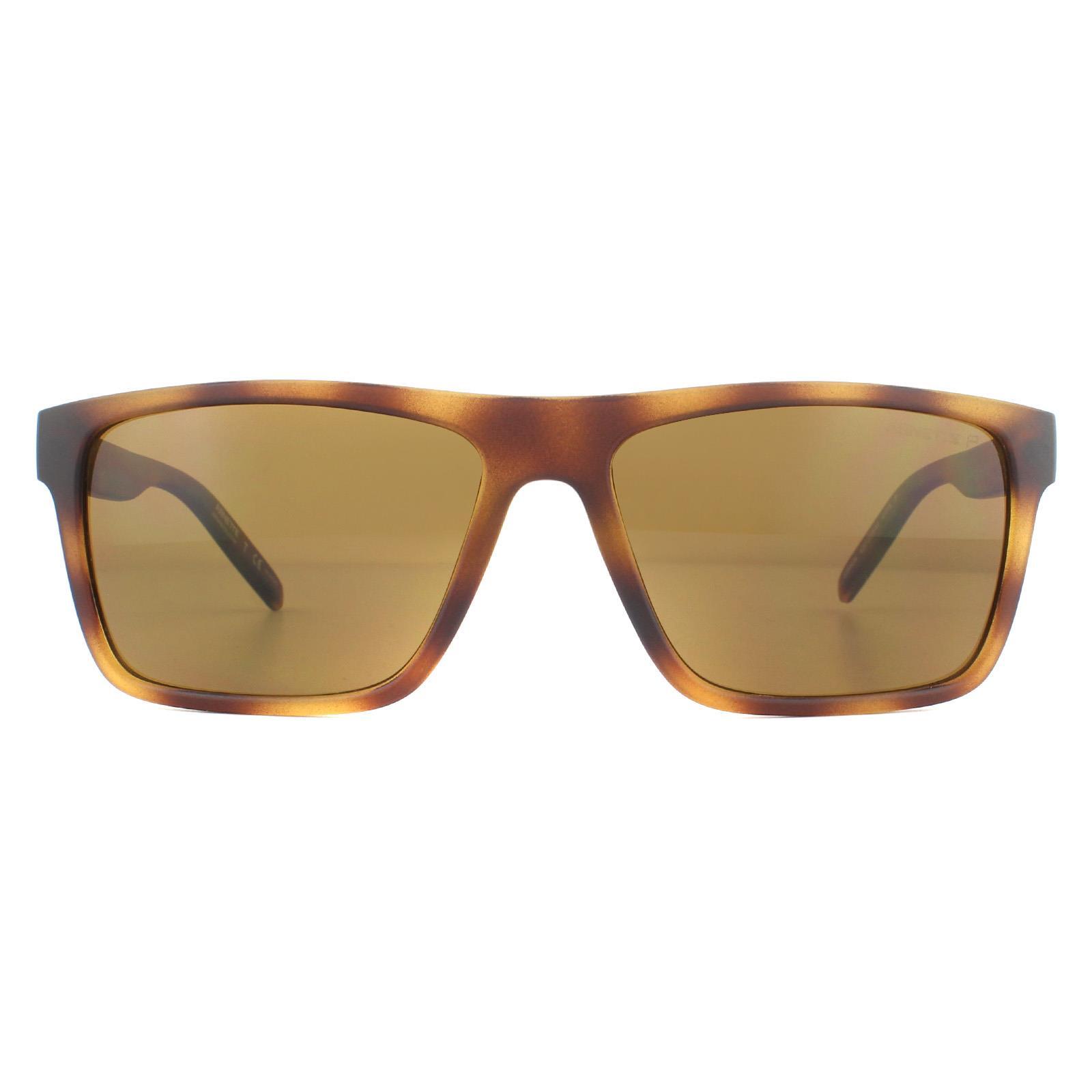 Brown arnette sunglasses hotsell
