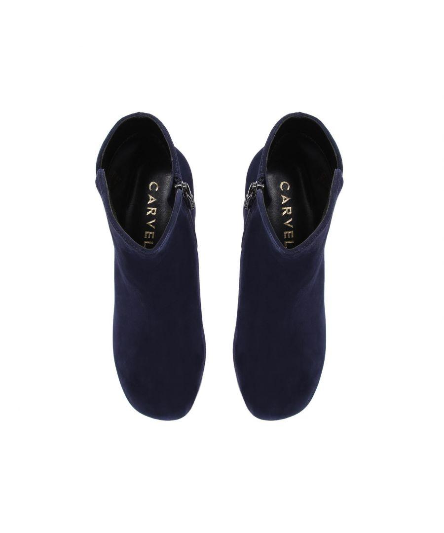 Carvela navy hotsell ankle boots