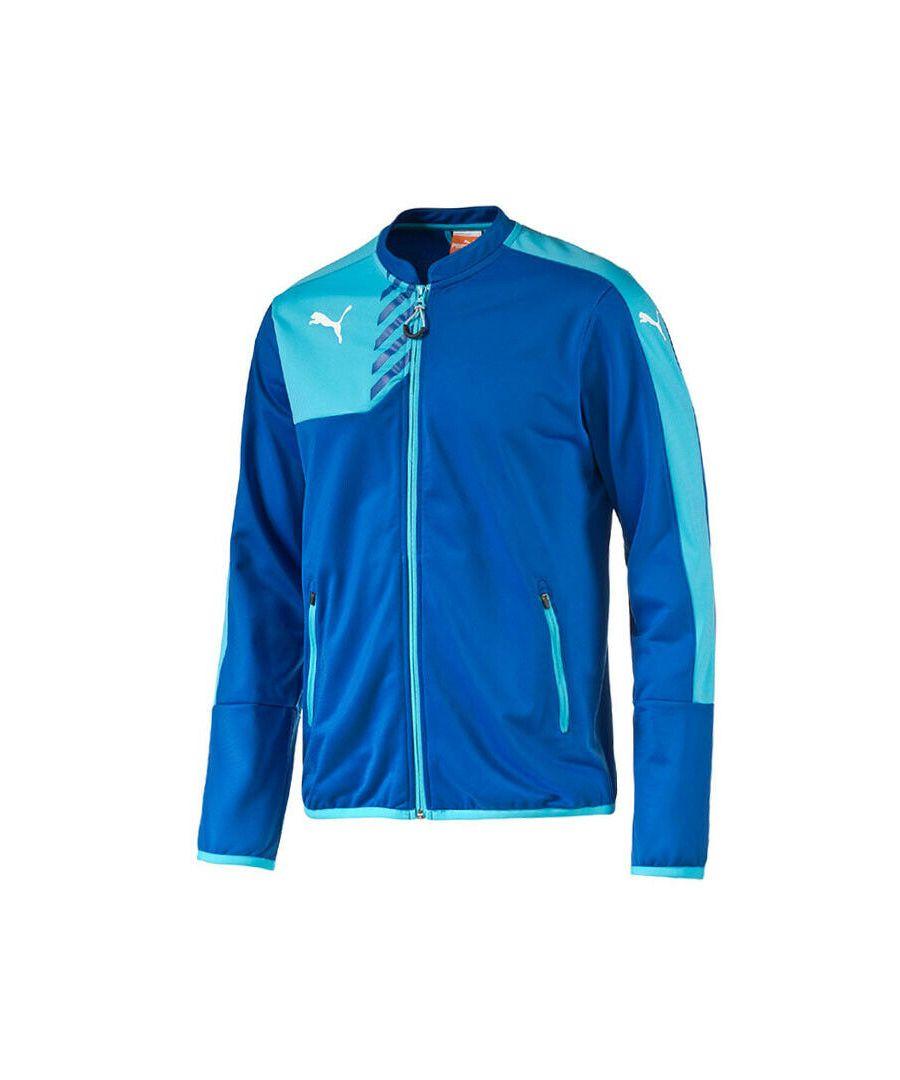 Puma mestre 2024