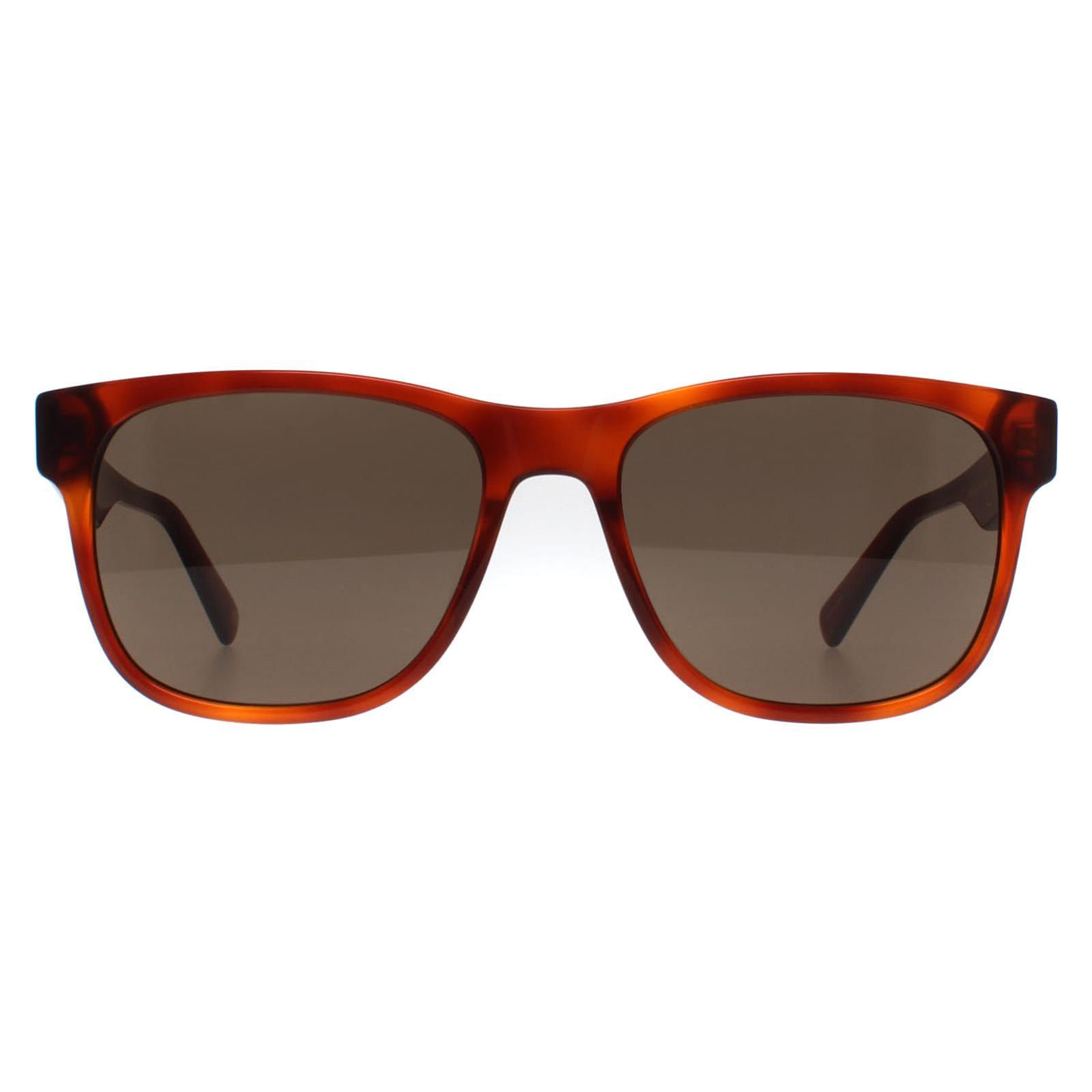 Banana Republic Rectangular Sunglasses,Honey Brown Kits.com -- Banana Republic BR 4006/S main image 2