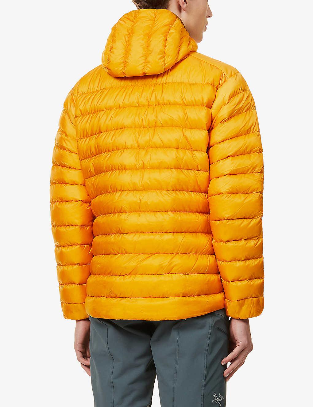 Arcteryx cerium lt hoody quantum sales