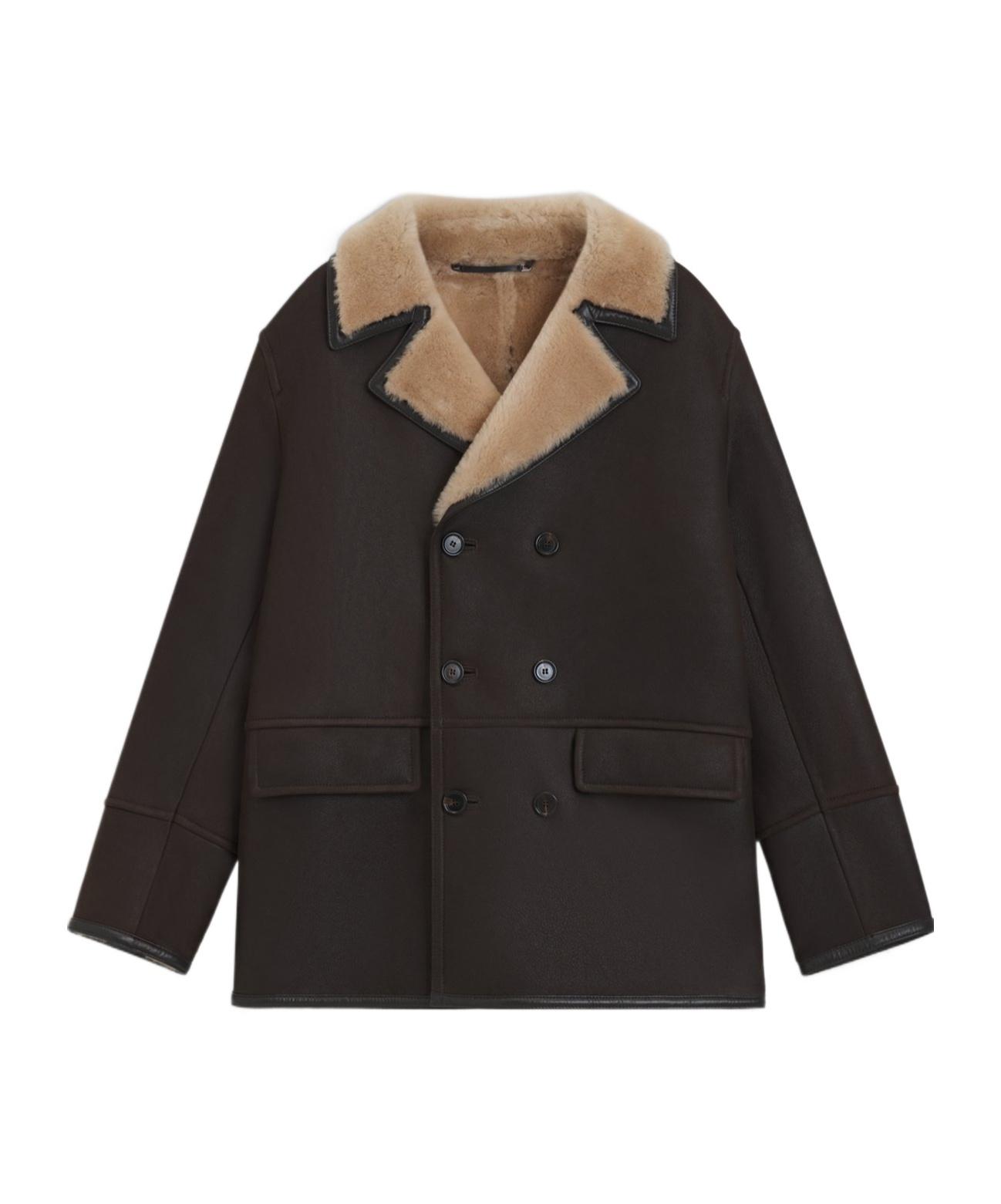 Peacock Jackets for Men Up to 70% off Lyst