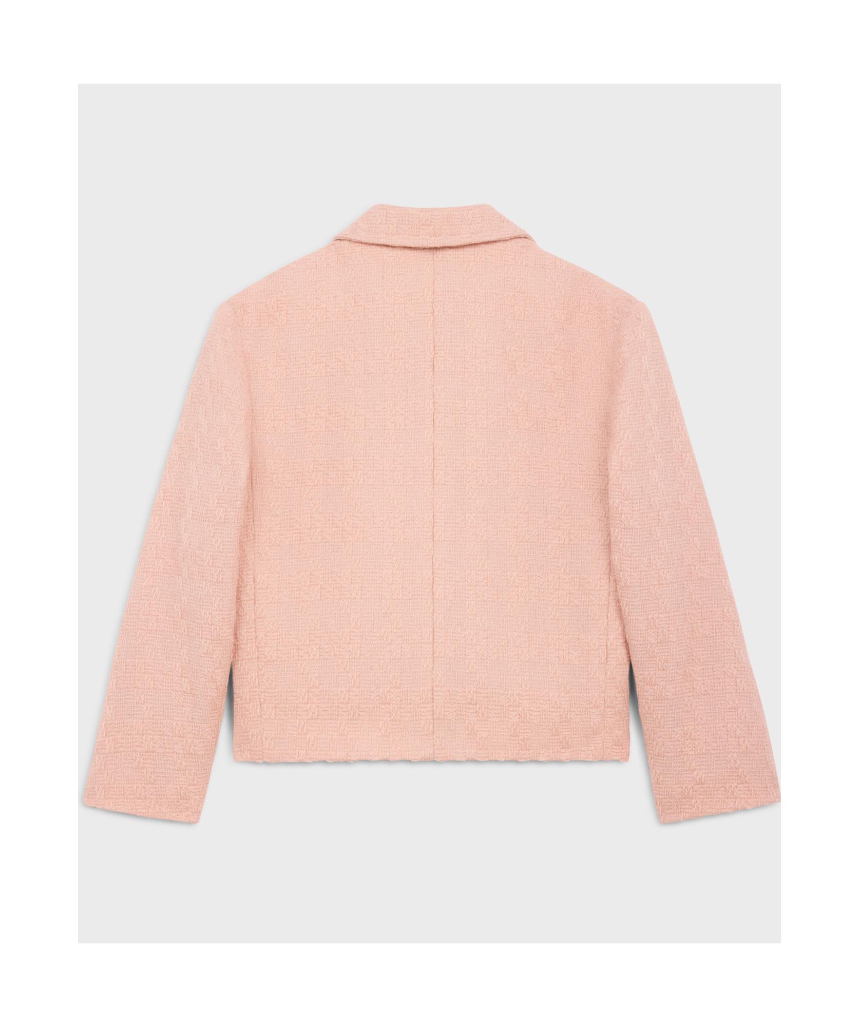 Celine Garance Jacket in Pink | Lyst